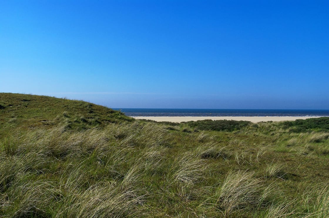 Duinen aan de Noordzee op noordelijk Texel