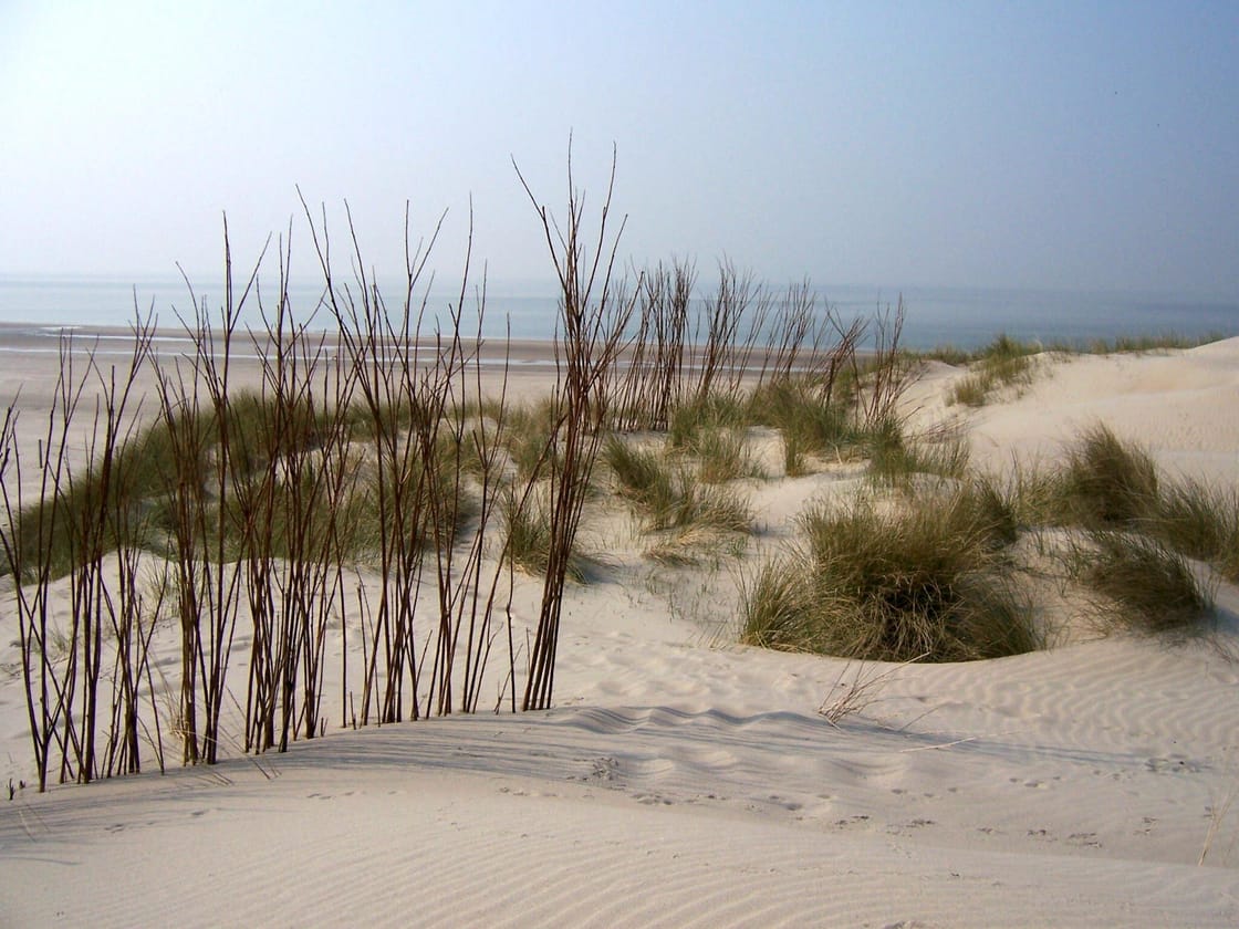 Noordzeeduin en strand op Schouwen-Duiveland in Zeeland